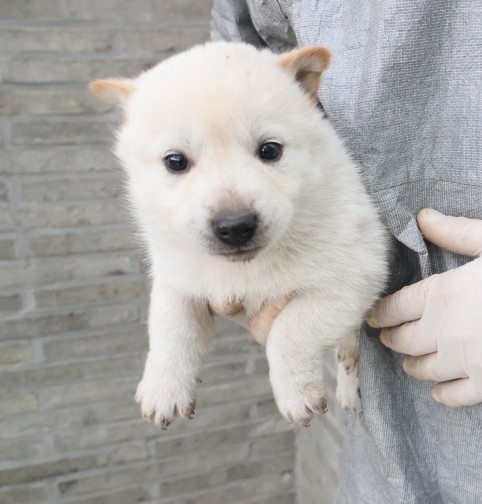 제주 동물보호센터_450650202403827